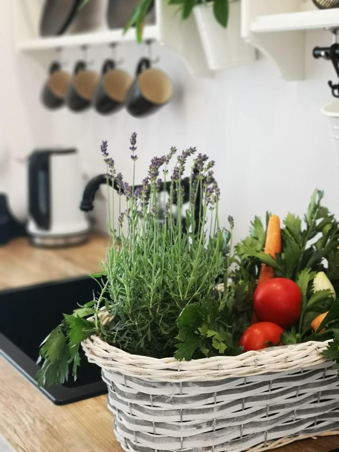 Spa Love Ceglana 1 A Sauna,,Jaccuzi Dla Dwojga Na Wylacznosc Zielona Góra Exterior foto